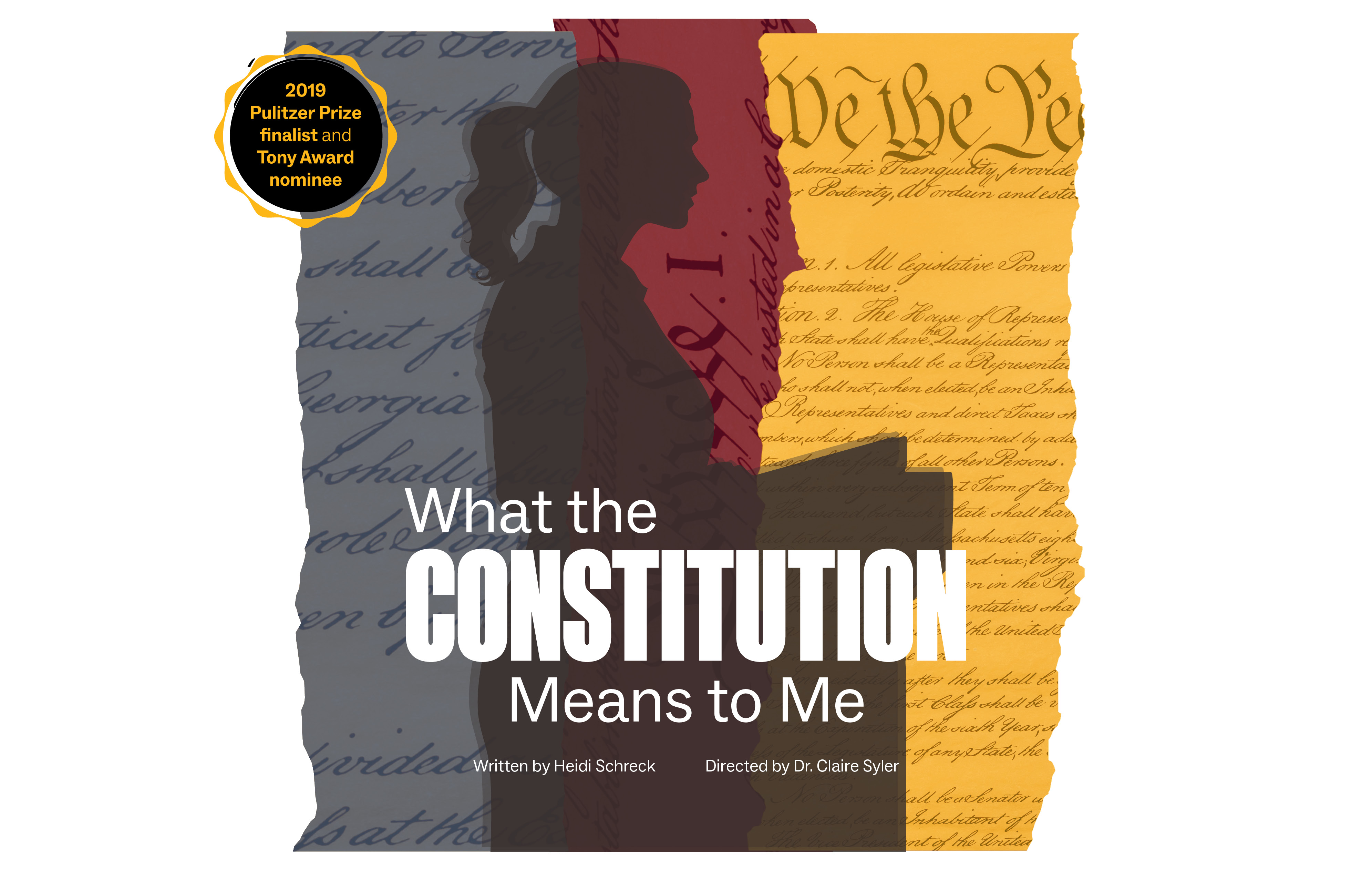 what the constitution means to me